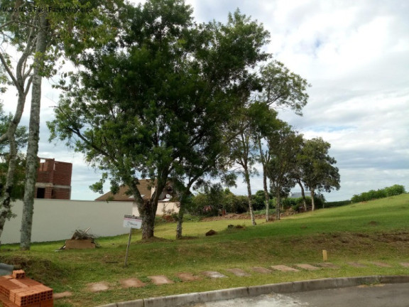 Terreno à Venda, 656 m² em Pousada Da Neve - Nova Petrópolis