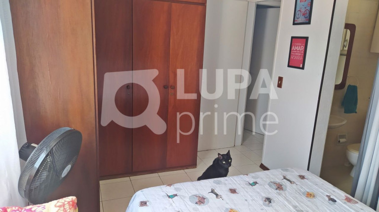 Imagem Apartamento com 3 Quartos à Venda, 90 m² em Tucuruvi - São Paulo Imagem Apartamento com 3 Quartos à Venda, 90 m² em Tucuruvi - São Paulo