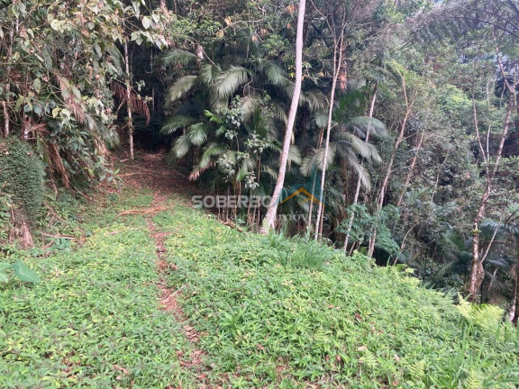 Imagem Terreno à Venda, 2.947 m² em Fazenda Inglesa - Petrópolis Imagem Terreno à Venda, 2.947 m² em Fazenda Inglesa - Petrópolis