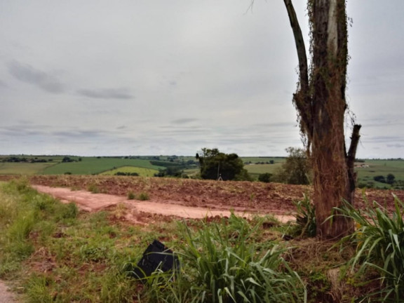 Imagem Terreno à Venda, 10.000 m² em Bairro Dos Pires - Limeira Imagem Terreno à Venda, 10.000 m² em Bairro Dos Pires - Limeira