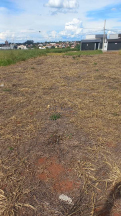 Imagem Terreno à Venda, 250 m² em Terramérica - Pirassununga Imagem Terreno à Venda, 250 m² em Terramérica - Pirassununga