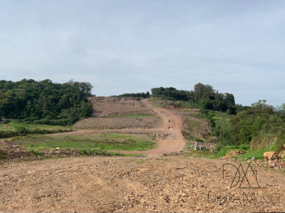 Imagem Terreno à Venda, 330 m² em Nossa Senhora Das Graças - Caxias Do Sul Imagem Terreno à Venda, 330 m² em Nossa Senhora Das Graças - Caxias Do Sul