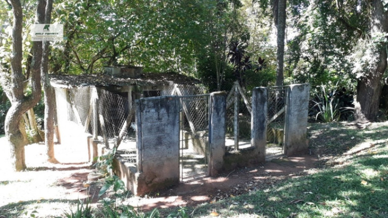Imagem Chácara com 3 Quartos à Venda, 3.000 m² em Alto Da Serra - São Roque Imagem Chácara com 3 Quartos à Venda, 3.000 m² em Alto Da Serra - São Roque