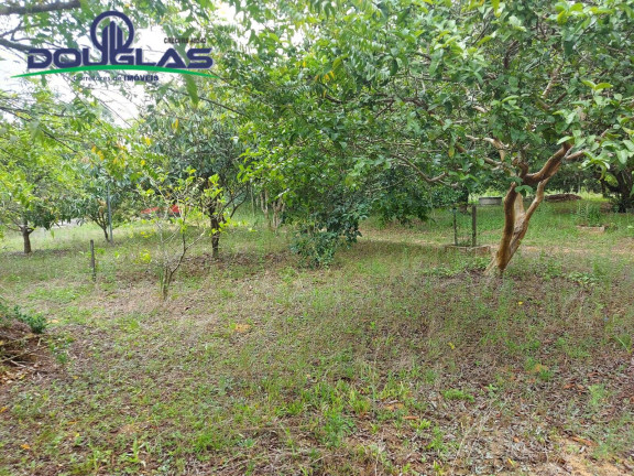 Imagem Chácara com 1 Quarto à Venda, 30.000 m² em Viamão Imagem Chácara com 1 Quarto à Venda, 30.000 m² em Viamão