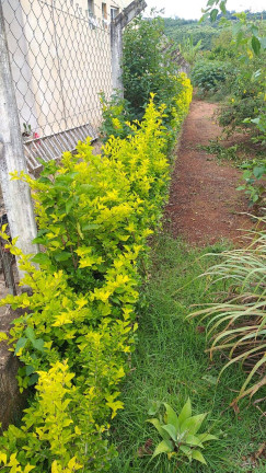 Imagem Terreno à Venda, 1 m² em Jardim Cananéia - Pilar Do Sul Imagem Terreno à Venda, 1 m² em Jardim Cananéia - Pilar Do Sul