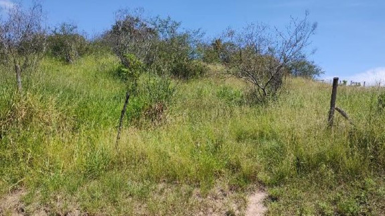 Terreno à Venda, 978 m² em Duques - Tangua