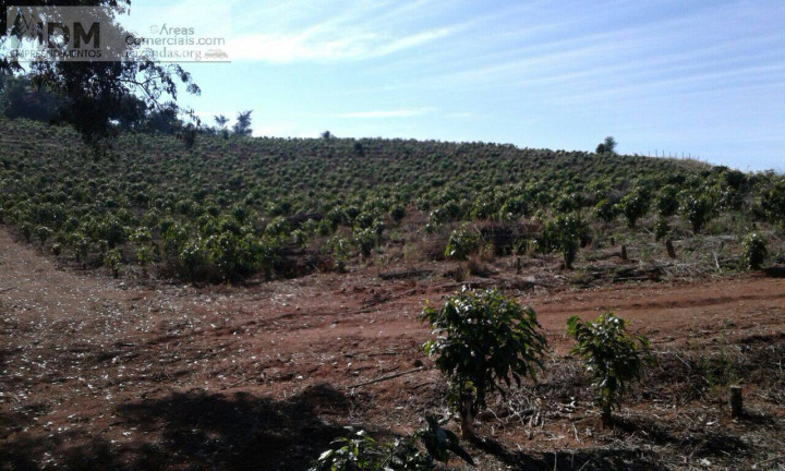 Imagem Chácara à Venda, 600.000 m² em Centro - Jacutinga Imagem Chácara à Venda, 600.000 m² em Centro - Jacutinga