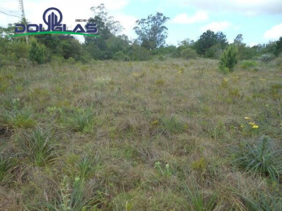 Imagem Imóvel Comercial à Venda, 3.640 m² em Morro Grande - Viamão Imagem Imóvel Comercial à Venda, 3.640 m² em Morro Grande - Viamão