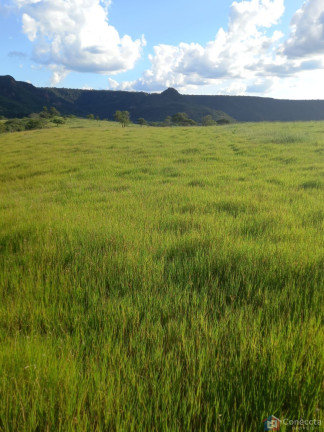 Imagem Imóvel à Venda, 2.040.000 m² em Centro - Caiapônia Imagem Imóvel à Venda, 2.040.000 m² em Centro - Caiapônia