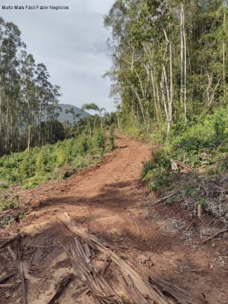 Imagem Terreno à Venda, 20.978 m² em Arroio Paixão - Nova Petrópolis