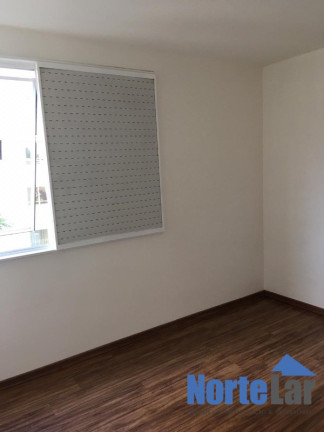 Imagem Apartamento com 2 Quartos à Venda, 50 m² em Vila Celeste - São Paulo