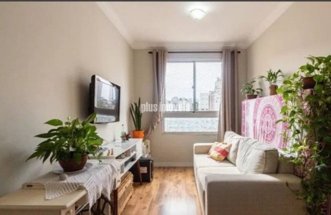 Imagem Apartamento com 2 Quartos à Venda, 50 m² em Morumbi - São Paulo Imagem Apartamento com 2 Quartos à Venda, 50 m² em Morumbi - São Paulo