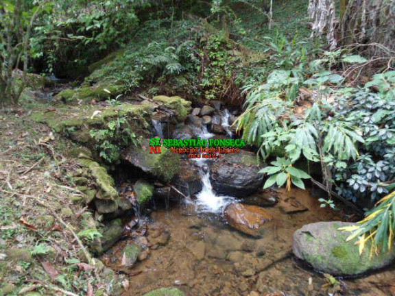 Imagem Chácara à Venda, 9 m² em São Francisco Xavier - São José Dos Campos Imagem Chácara à Venda, 9 m² em São Francisco Xavier - São José Dos Campos