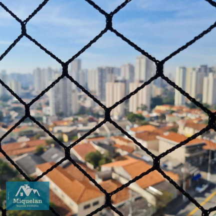 Imagem Apartamento com 2 Quartos à Venda, 67 m² em Chora Menino - São Paulo