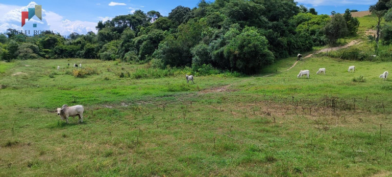 Imagem Imóvel com 7 Quartos à Venda, 1.621.400 m² em Centro - Sorocaba Imagem Imóvel com 7 Quartos à Venda, 1.621.400 m² em Centro - Sorocaba