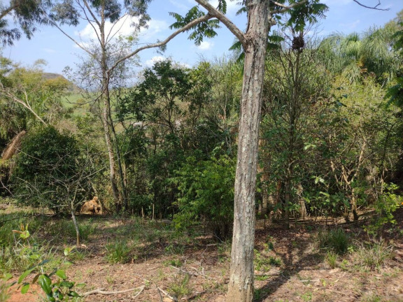 Imagem Chácara à Venda, 1.701 m² em Recanto Das Seriemas - Taubaté Imagem Chácara à Venda, 1.701 m² em Recanto Das Seriemas - Taubaté