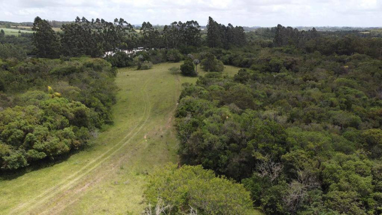 Imagem Chácara à Venda, 2.000 m² em Fiuza - Viamão Imagem Chácara à Venda, 2.000 m² em Fiuza - Viamão