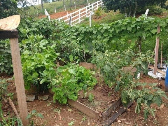 Imagem Chácara com 8 Quartos à Venda, 300 m² em Freitas - São José Dos Campos Imagem Chácara com 8 Quartos à Venda, 300 m² em Freitas - São José Dos Campos