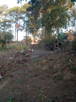 Imagem Imóvel à Venda, 5.000 m² em Vila Aparecida - Suzano Imagem Imóvel à Venda, 5.000 m² em Vila Aparecida - Suzano