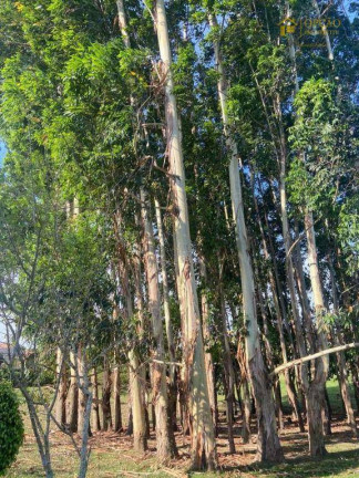 Imagem Chácara com 5 Quartos à Venda, 300 m² em Condomínio Terras De Santa Rosa - Salto Imagem Chácara com 5 Quartos à Venda, 300 m² em Condomínio Terras De Santa Rosa - Salto