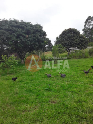 Imagem Imóvel com 2 Quartos à Venda, 1.500 m² em Caete (mailasqui) - São Roque Imagem Imóvel com 2 Quartos à Venda, 1.500 m² em Caete (mailasqui) - São Roque