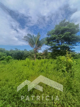 Imagem Imóvel com 2 Quartos à Venda, 140 m² em Zona Rural - Nova Maringá