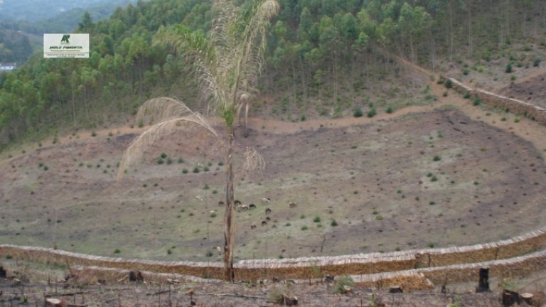 Imagem Fazenda à Venda, 84.700 m² em Bairro Do Marmelo - Mairiporã Imagem Fazenda à Venda, 84.700 m² em Bairro Do Marmelo - Mairiporã