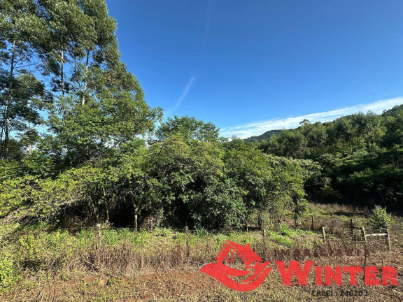 Imagem Chácara à Venda, 2.500 m² em Arroio Das Pedras - Bom Princípio Imagem Chácara à Venda, 2.500 m² em Arroio Das Pedras - Bom Princípio