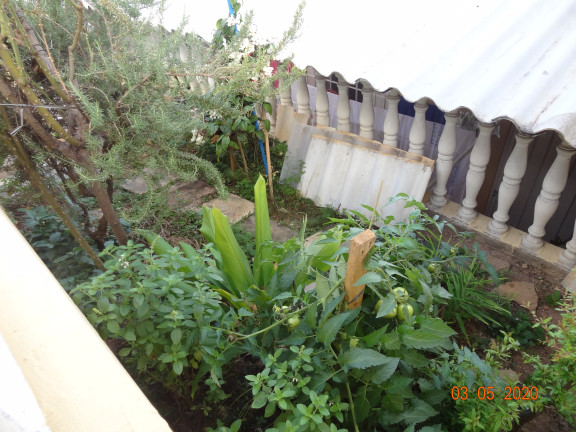 Imagem Sobrado com 3 Quartos à Venda,  em Jardim Vista Linda - São Paulo