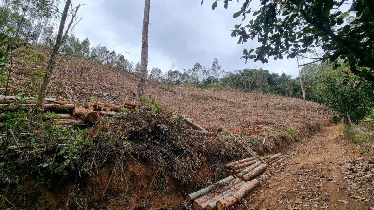 Imagem Imóvel à Venda, 44.000 m² em Alto Nova Almeida - Marechal Floriano Imagem Imóvel à Venda, 44.000 m² em Alto Nova Almeida - Marechal Floriano