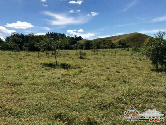 Terreno à Venda, 9.800 m² em Bairro Da Cachoeira - Santa Branca