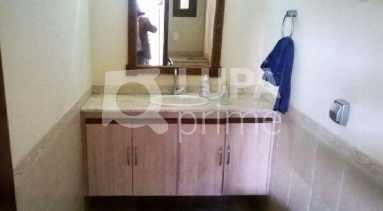Imagem Casa com 4 Quartos à Venda, 508 m² em Vila Isolina Mazzei - São Paulo