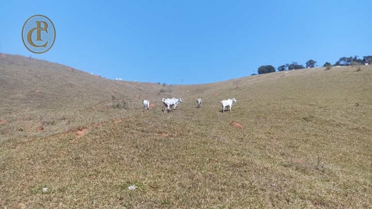 Imagem Chácara com 3 Quartos à Venda, 500 m² em Varadouro - São José Dos Campos Imagem Chácara com 3 Quartos à Venda, 500 m² em Varadouro - São José Dos Campos