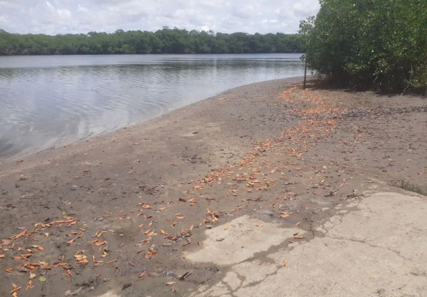 Imagem Terreno à Venda, 806 m² em Barra Do Jacuípe - Camaçari Imagem Terreno à Venda, 806 m² em Barra Do Jacuípe - Camaçari