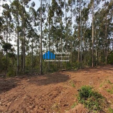 Imagem Imóvel Comercial à Venda, 9 m² em Integração - Garibaldi Imagem Imóvel Comercial à Venda, 9 m² em Integração - Garibaldi