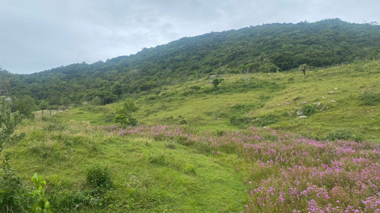 Imagem Terreno à Venda, 1.550 m² em Praia Da Silveira - Garopaba Imagem Terreno à Venda, 1.550 m² em Praia Da Silveira - Garopaba