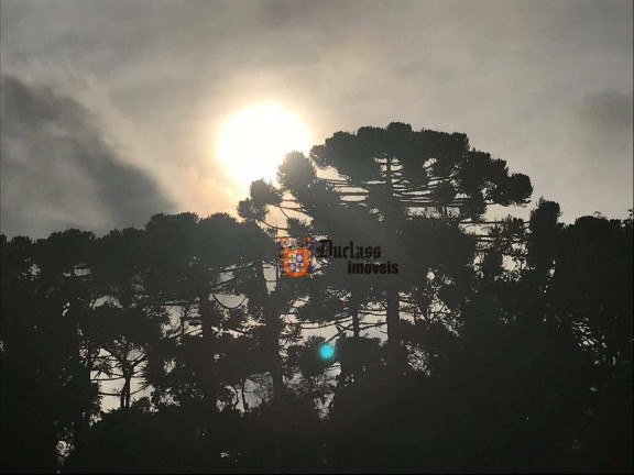 Imagem Chácara com 4 Quartos à Venda, 230 m² em Clube De Campo Vale Do Sol - Campos Do Jordão Imagem Chácara com 4 Quartos à Venda, 230 m² em Clube De Campo Vale Do Sol - Campos Do Jordão