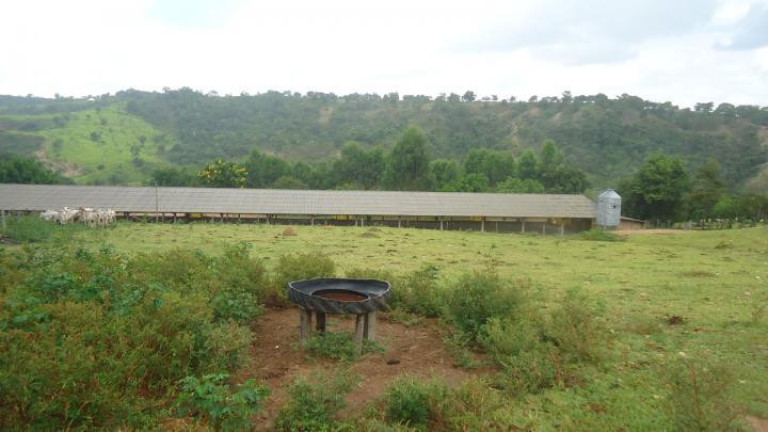 Imagem Fazenda à Venda, 60 m² em Azurita - Mateus Leme Imagem Fazenda à Venda, 60 m² em Azurita - Mateus Leme