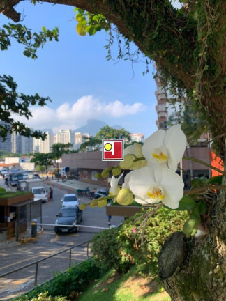 Imagem Apartamento com 4 Quartos à Venda, 303 m² em Barra Da Tijuca - Rio De Janeiro Imagem Apartamento com 4 Quartos à Venda, 303 m² em Barra Da Tijuca - Rio De Janeiro