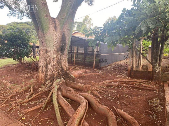 Fazenda à Venda, 6 m² em Zona Rural - São Simão