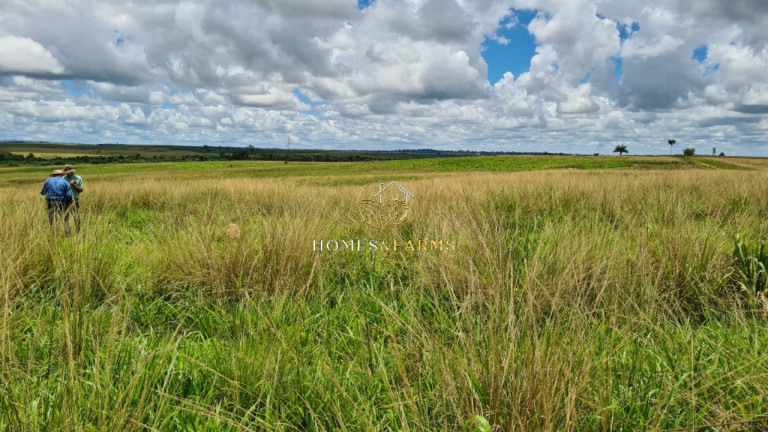 Imagem Imóvel com 3 Quartos à Venda, 43.000 m² em Zona Rural - Aurora Do Pará Imagem Imóvel com 3 Quartos à Venda, 43.000 m² em Zona Rural - Aurora Do Pará