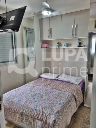 Imagem Apartamento com 3 Quartos à Venda, 83 m² em Jaçanã - São Paulo