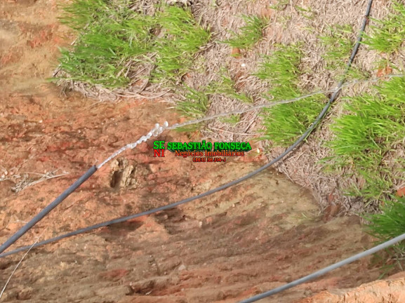 Imagem Chácara à Venda, 20.000 m² em área Rural De Caçapava - Caçapava Imagem Chácara à Venda, 20.000 m² em área Rural De Caçapava - Caçapava