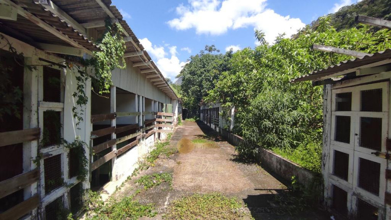Imagem Chácara com 3 Quartos à Venda, 600 m² em Ponte Nova - Teresópolis