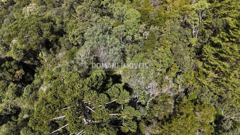 Imagem Terreno à Venda, 2.570 m² em Região De Capivari - Campos Do Jordão Imagem Terreno à Venda, 2.570 m² em Região De Capivari - Campos Do Jordão