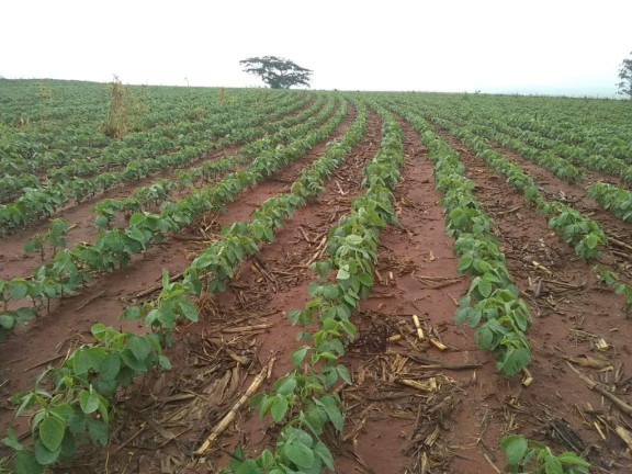 Imagem Fazenda à Venda, 632 m² em Rural - Echaporã Imagem Fazenda à Venda, 632 m² em Rural - Echaporã