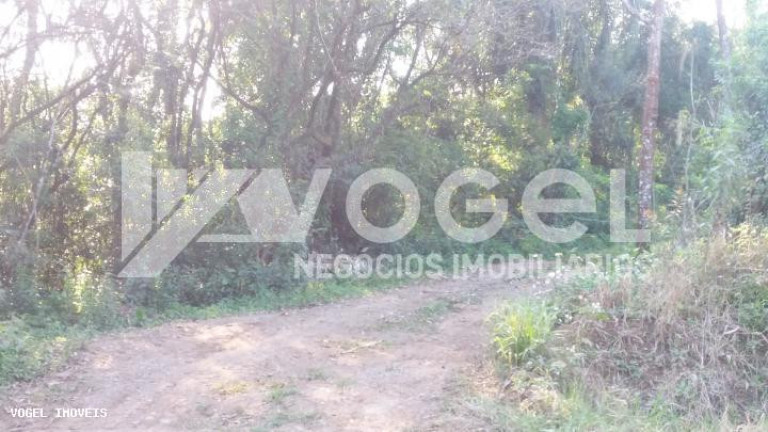 Imagem Imóvel à Venda, 5 m² em Bairro Não Informado - Ivoti Imagem Imóvel à Venda, 5 m² em Bairro Não Informado - Ivoti