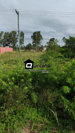 Imóvel à Venda, 400 m² em Br 293 - Capão Do Leão