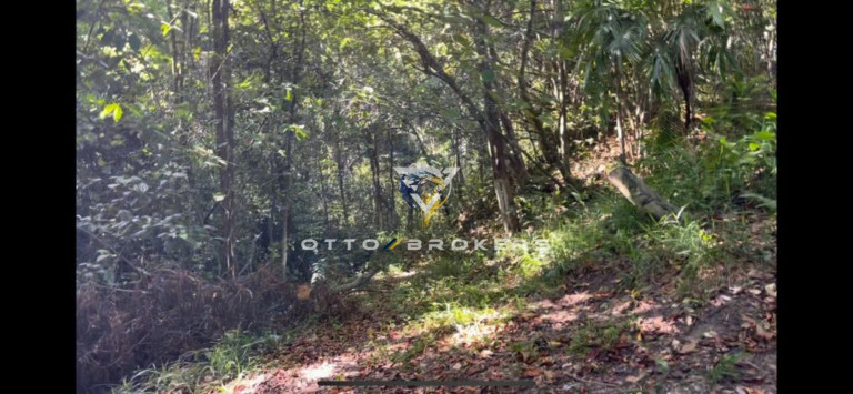 Imagem Terreno à Venda, 1.700 m² em Pitinga - Porto Seguro Imagem Terreno à Venda, 1.700 m² em Pitinga - Porto Seguro