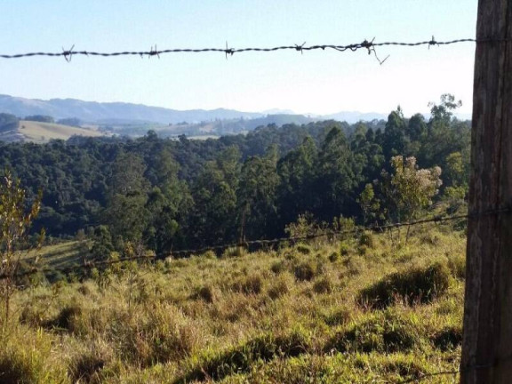 Imagem Fazenda à Venda, 940 m² em Dos Silva - Morungaba